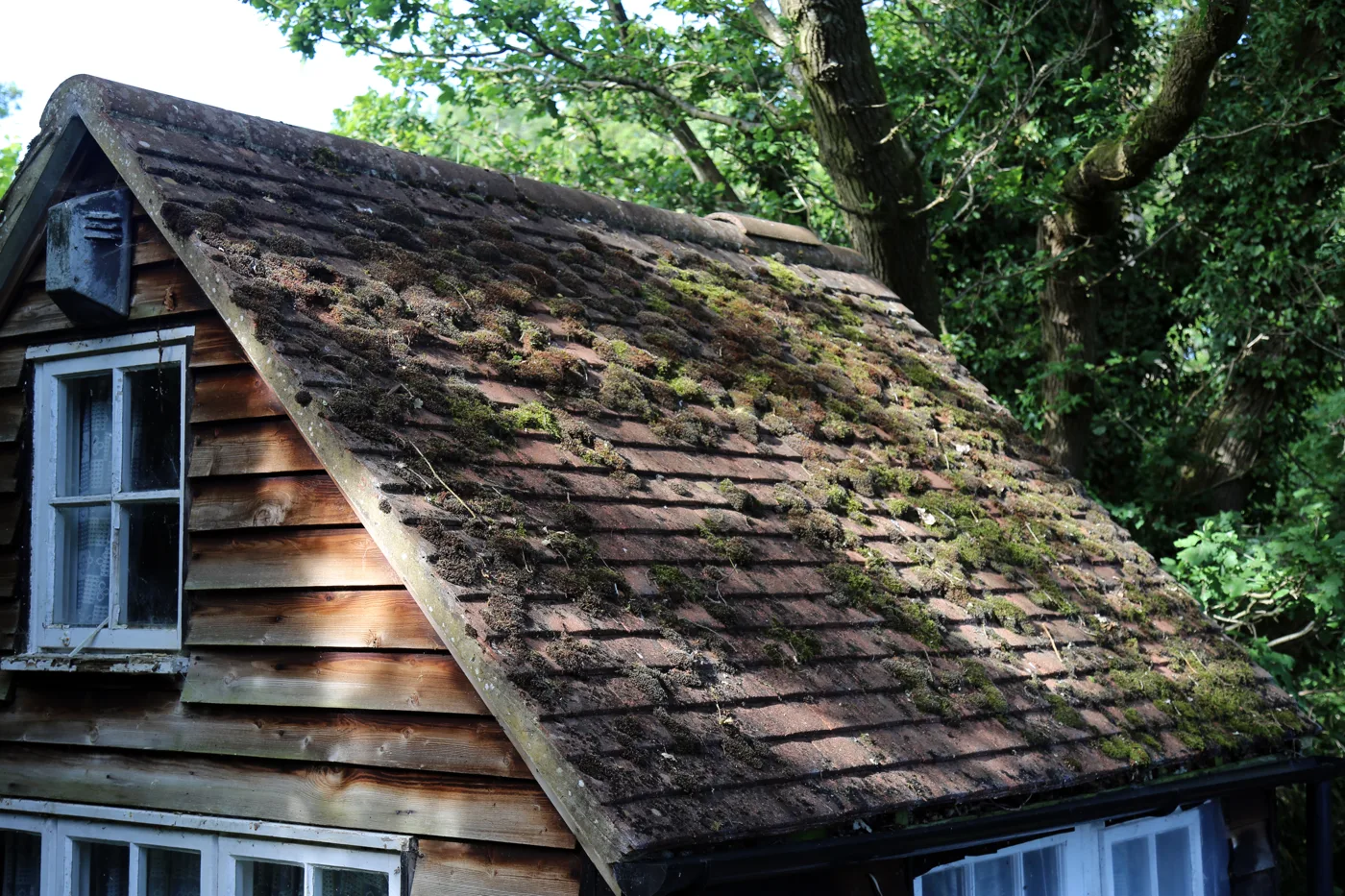 Pressure Washing a Roof: Why Roofers Warn Against It